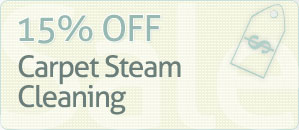Steam Cleaning Coupons